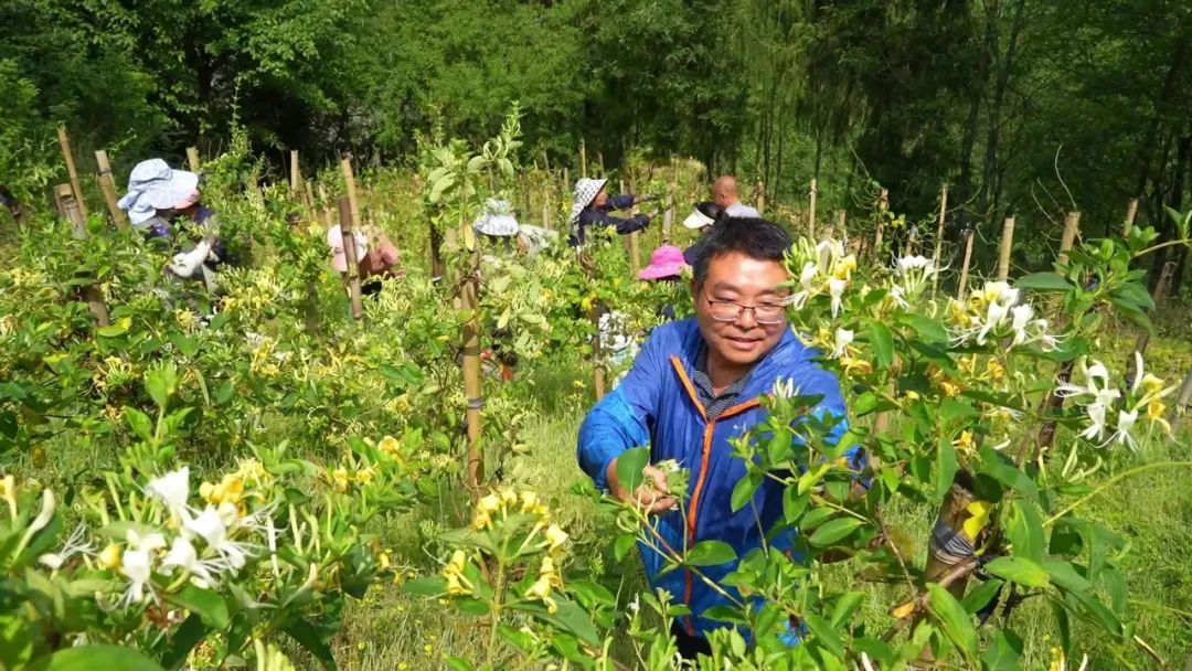 漢中這些地方，藏著令人向往的滿分初夏時光！