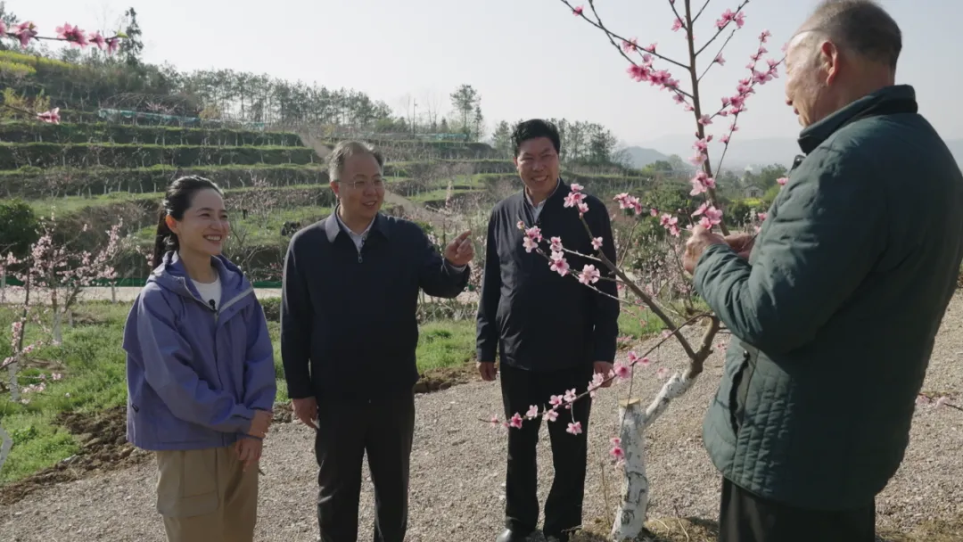 央視財(cái)經(jīng)關(guān)注！看漢中如何探索鄉(xiāng)村振興之路→