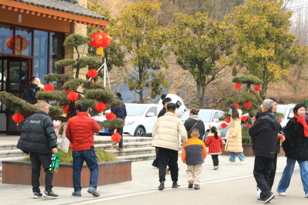 新年第一天，洋縣長青華陽景區(qū)迎來蛇年開門紅~