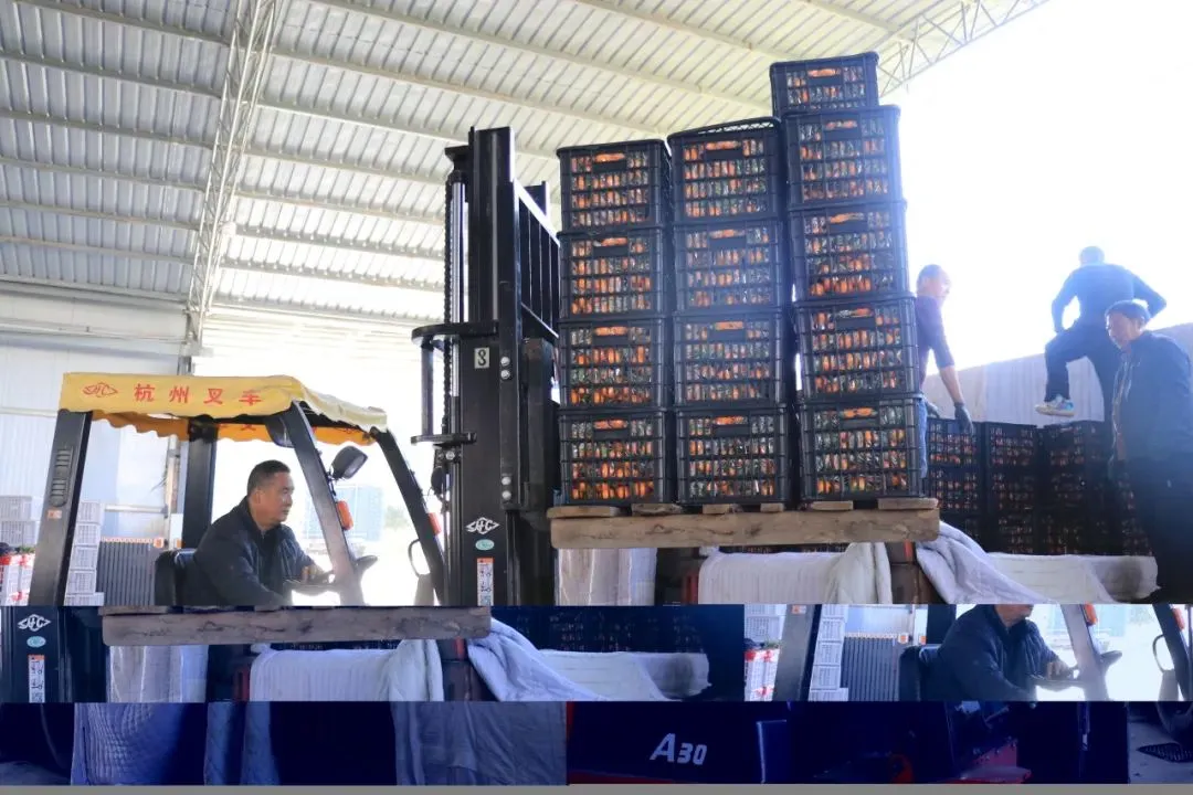 繼往開來！新絲路上續(xù)寫漢中發(fā)展新樂章！