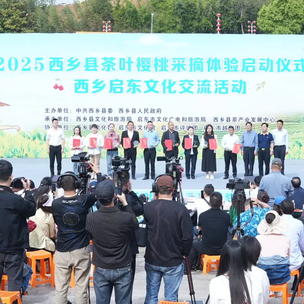 西鄉(xiāng)縣舉行2025茶葉櫻桃采摘體驗(yàn)活動暨西鄉(xiāng)—啟東文化交流活動
