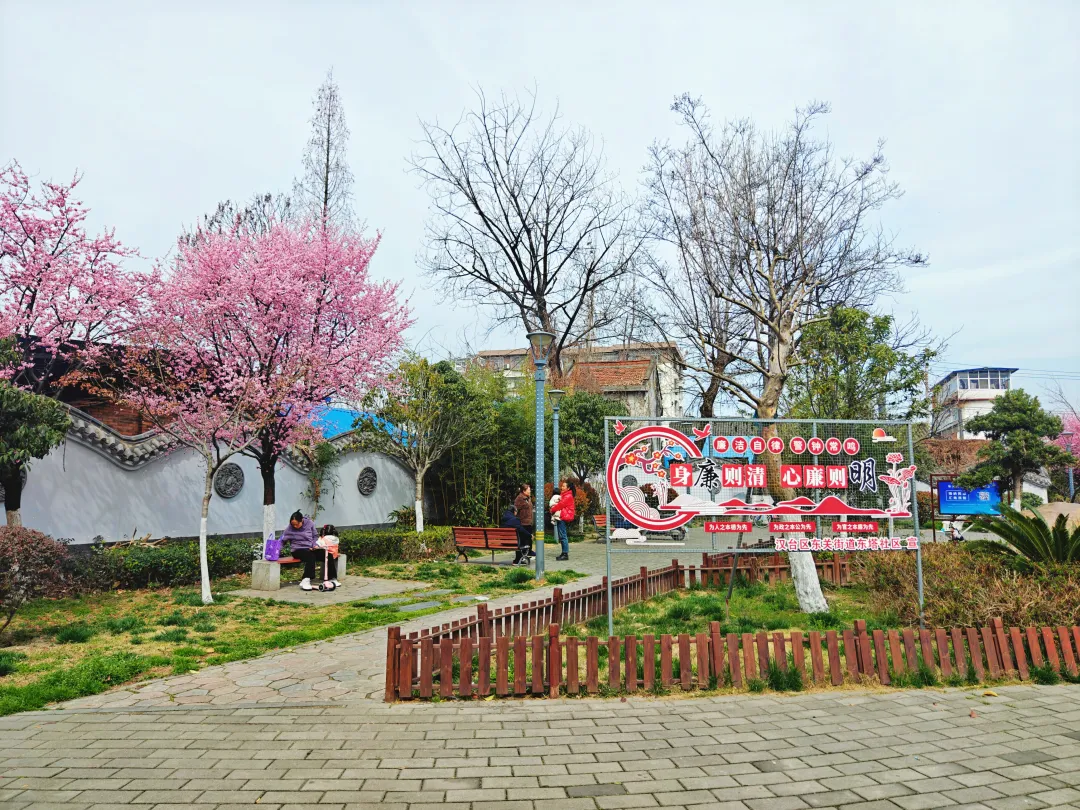 口袋公園：靚了城市，美了生活，暖了人心
