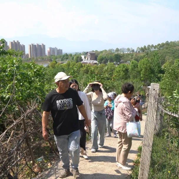 西鄉(xiāng)縣舉行2025茶葉櫻桃采摘體驗(yàn)活動暨西鄉(xiāng)—啟東文化交流活動