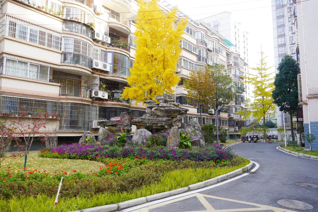 漢臺(tái)區(qū)漢中路街道：老舊小區(qū)改造，“改”到居民心坎上