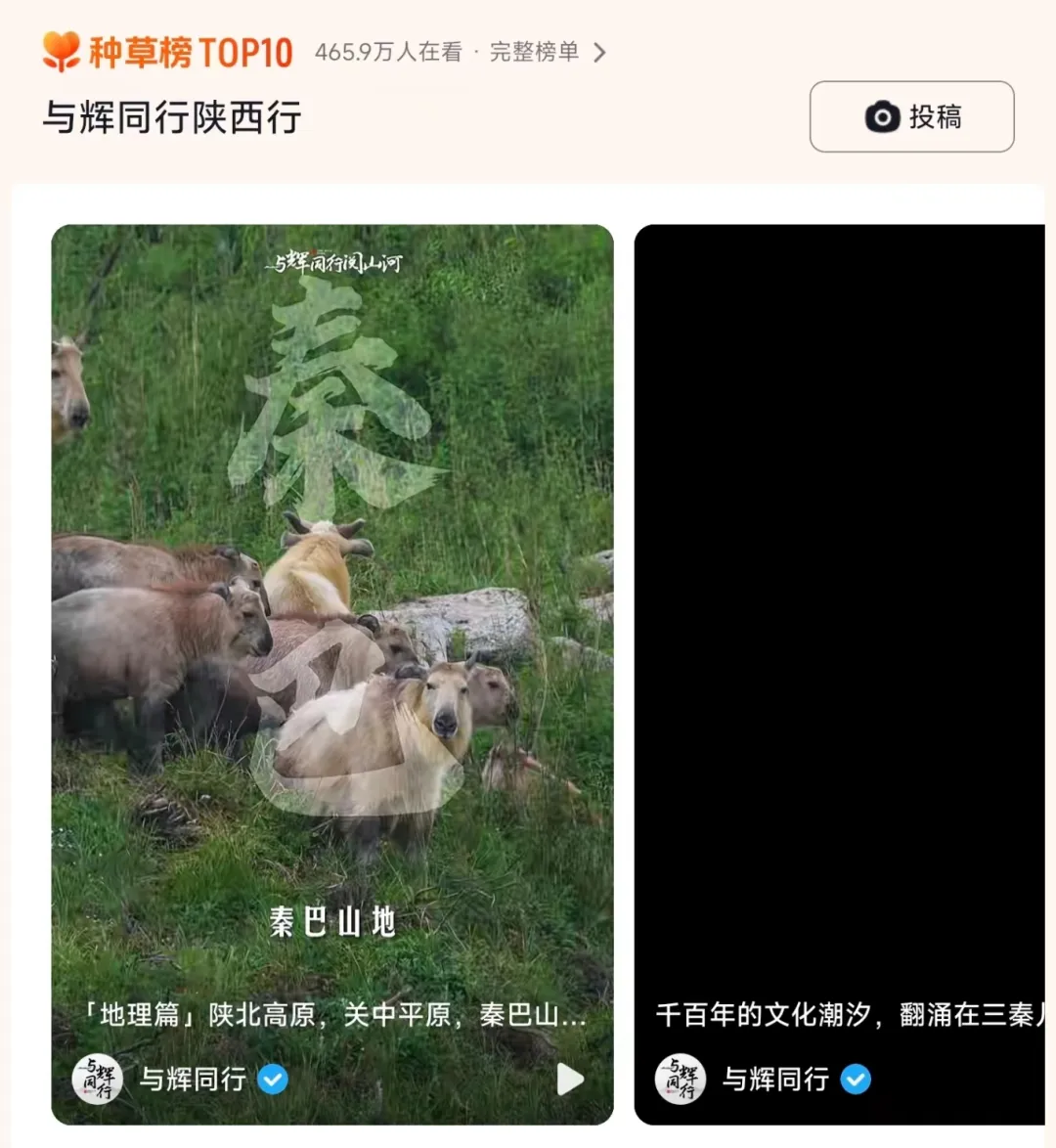 董宇輝漢中站2468萬(wàn)觀看！帶貨6600萬(wàn)！