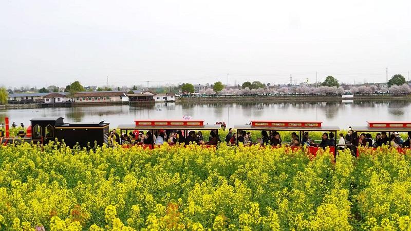 2025最美油菜花海漢中春季文旅消費季漢臺系列活動啟動