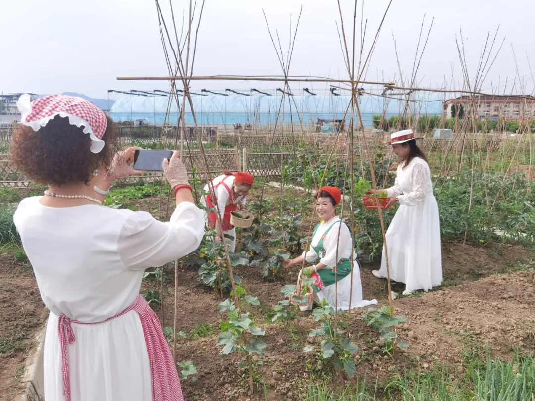 漢臺(tái)：“共飲一池水”，魚菜同豐收