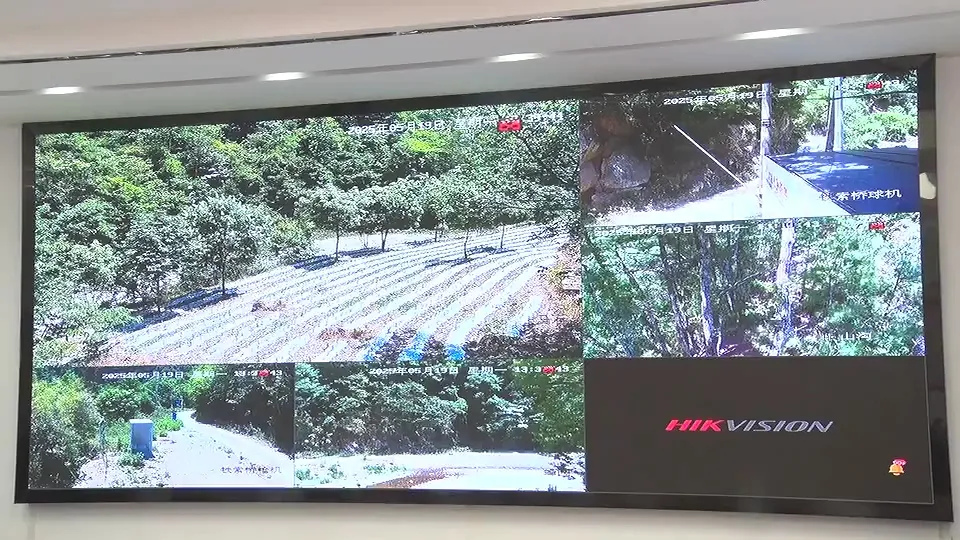 17只羚牛首度同框！揭秘秦嶺24小時→