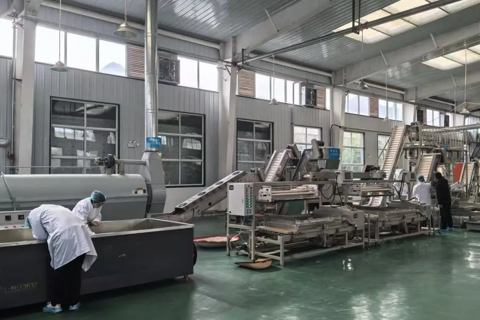 訂單接到手軟！漢中茶界“黑馬”逆襲→