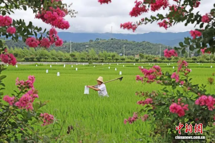 秦嶺腹地的“綠色密碼” 有機(jī)產(chǎn)業(yè)助生態(tài)顏值變經(jīng)濟(jì)產(chǎn)值