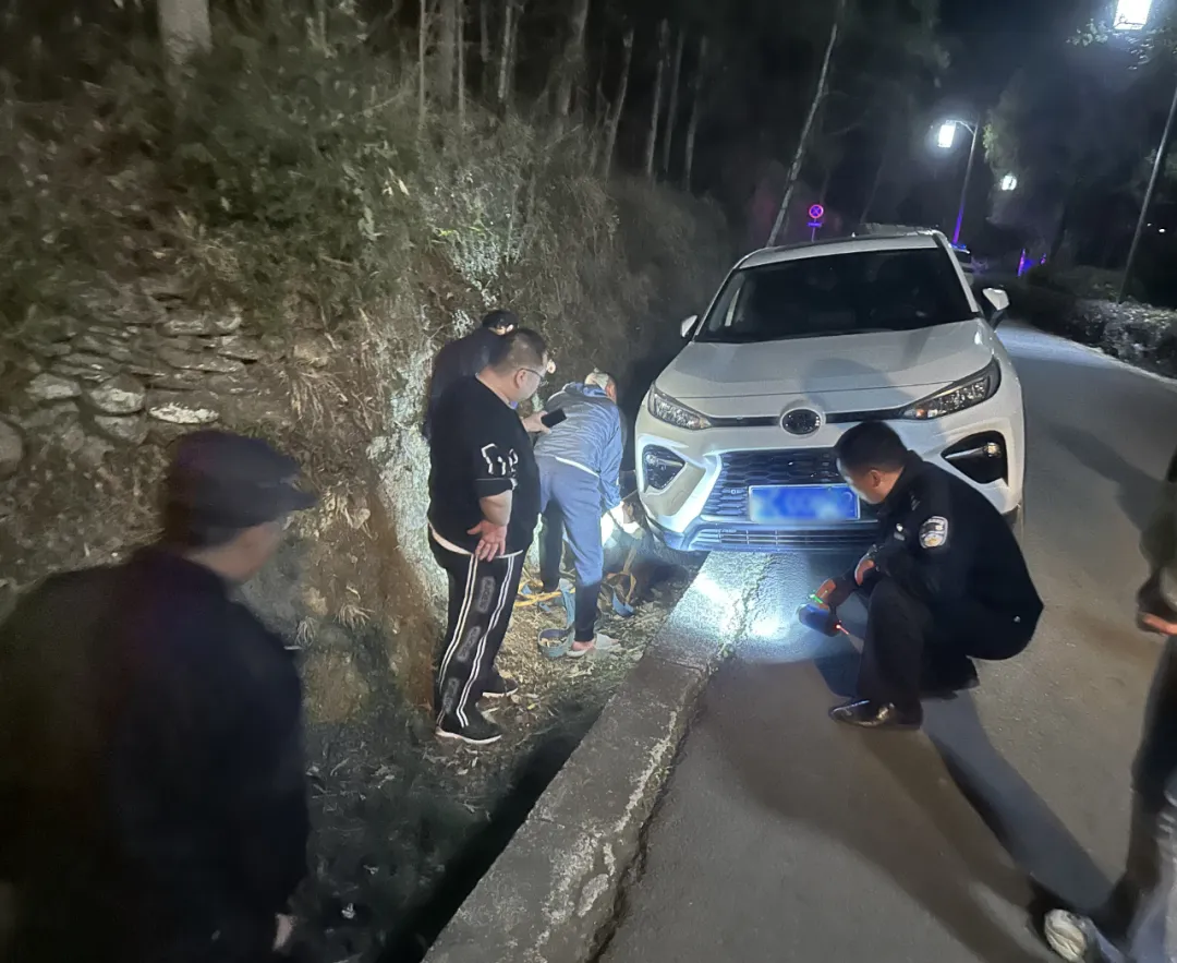 游客車陷水溝，漢中警民合力助脫困