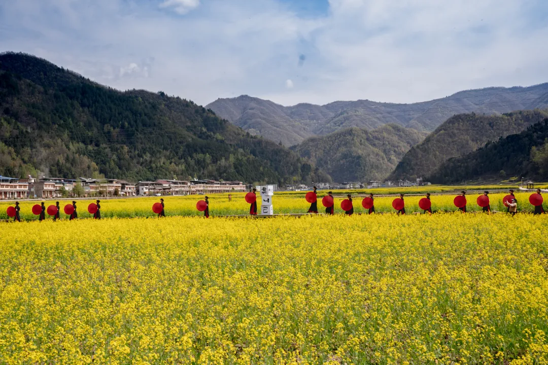 2025漢中鎮(zhèn)巴春日盛宴，解鎖油菜花海文旅新玩法！