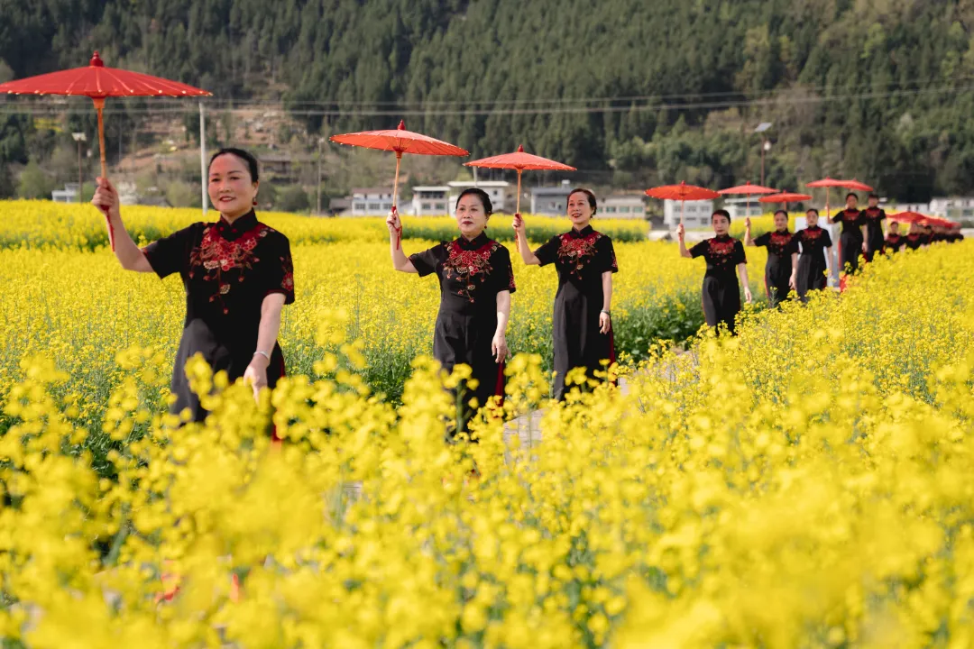 2025漢中鎮(zhèn)巴春日盛宴，解鎖油菜花海文旅新玩法！
