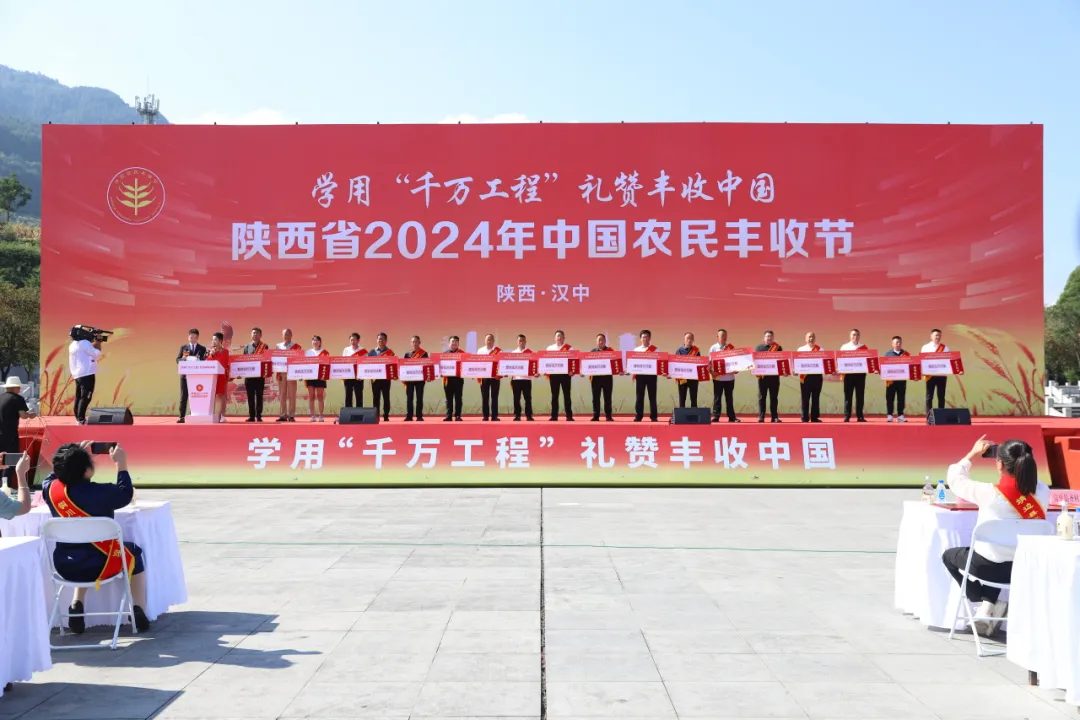 豐收了！豐收了！漢中熱鬧非凡→