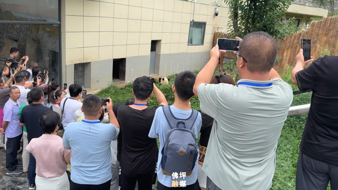 40家中省市網(wǎng)絡(luò)媒體和名人聚集佛坪，為什么→ 做什么→