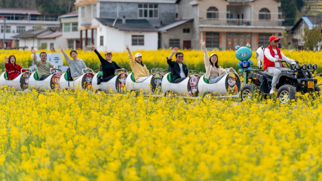 2025漢中鎮(zhèn)巴春日盛宴，解鎖油菜花海文旅新玩法！