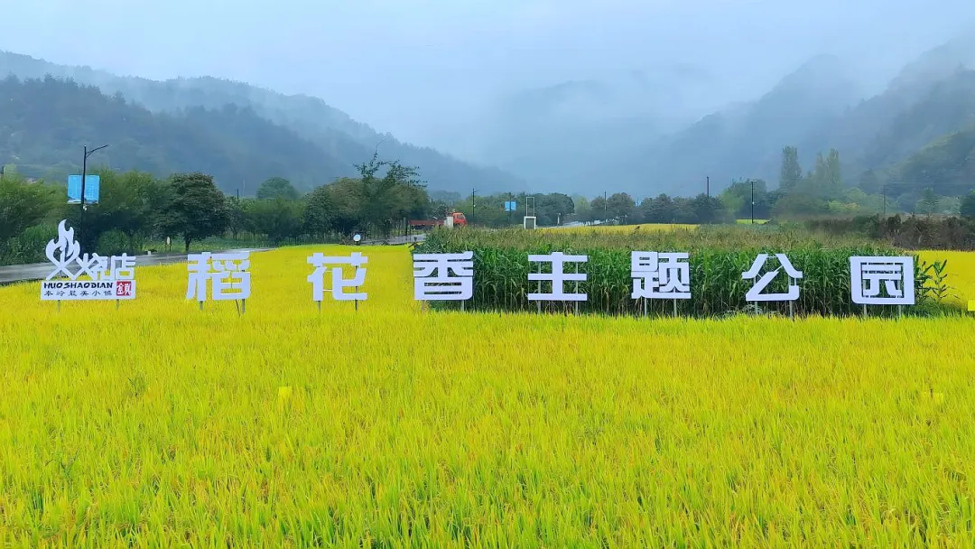 點贊！留壩休閑農(nóng)業(yè)發(fā)展經(jīng)驗在全省交流