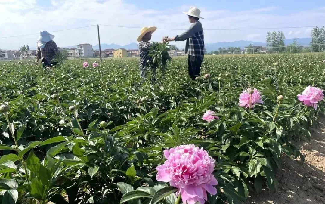 漢中這些地方，藏著令人向往的滿分初夏時光！