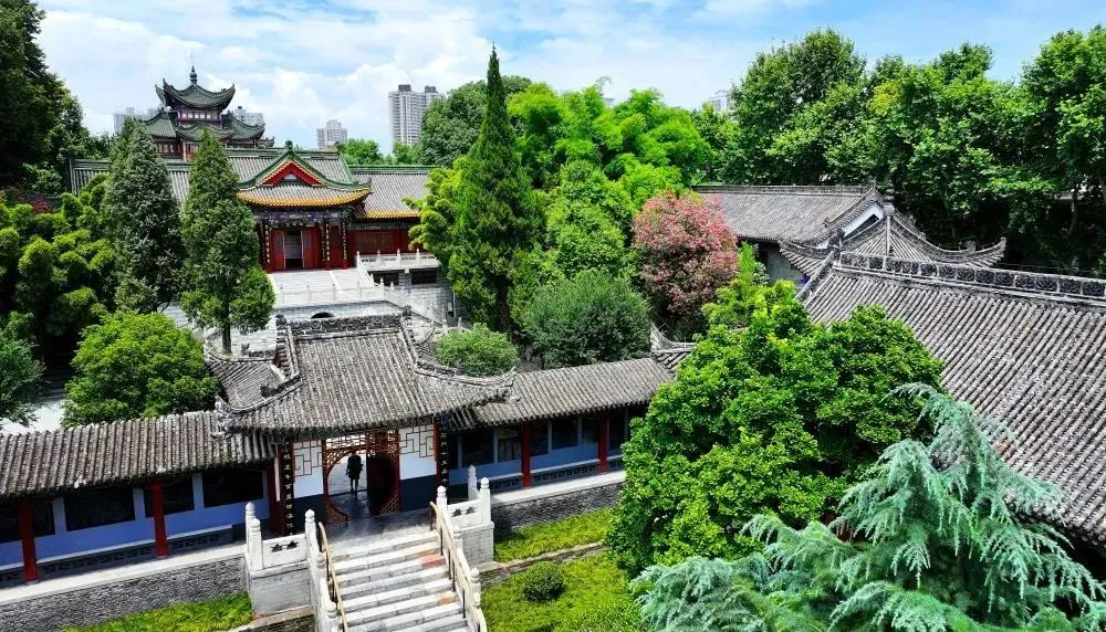 春天出游季！漢臺系列活動請收好，就等你來