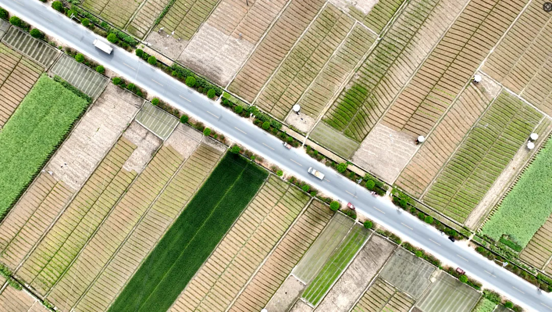 城固縣舉行“元胡之鄉(xiāng)·城固——第二屆元胡集中采挖交易暨現(xiàn)代農(nóng)業(yè)產(chǎn)業(yè)鏈招商專題推介活動(dòng)”