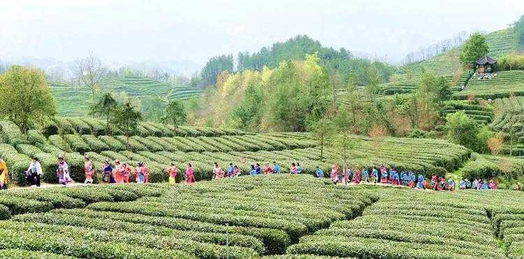 2023中國最美油菜花海漢中旅游文化節(jié)寧強(qiáng)分會(huì)場(chǎng)活動(dòng)啟動(dòng)