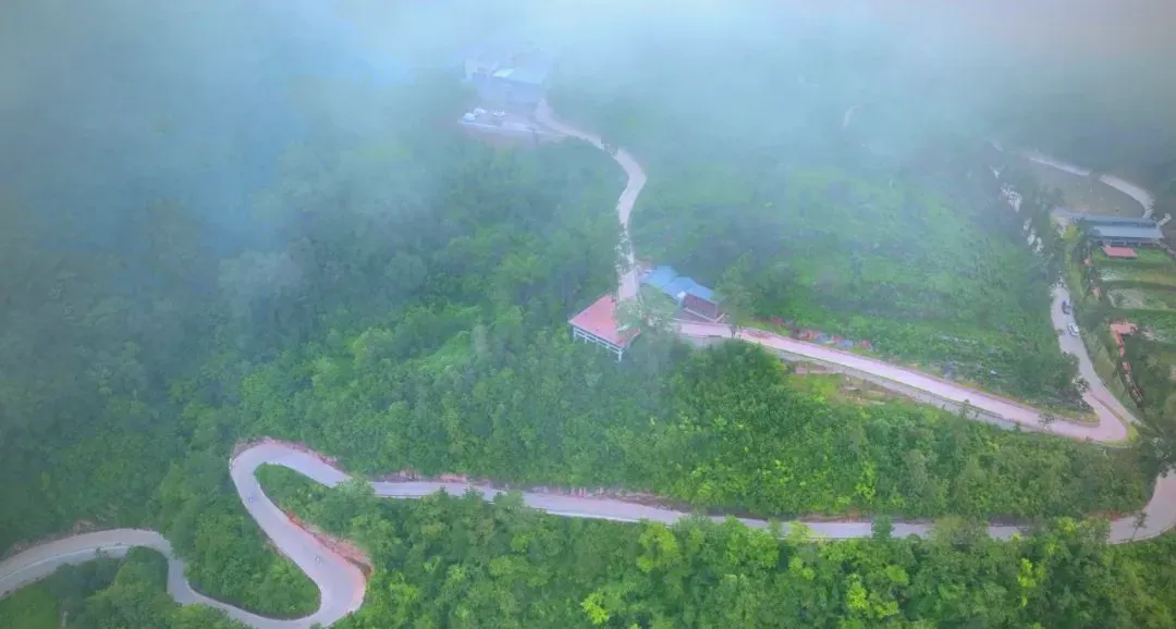 茶旅新地標(biāo)！楮溪源景區(qū)帶你開啟茶旅融合新體驗(yàn)！