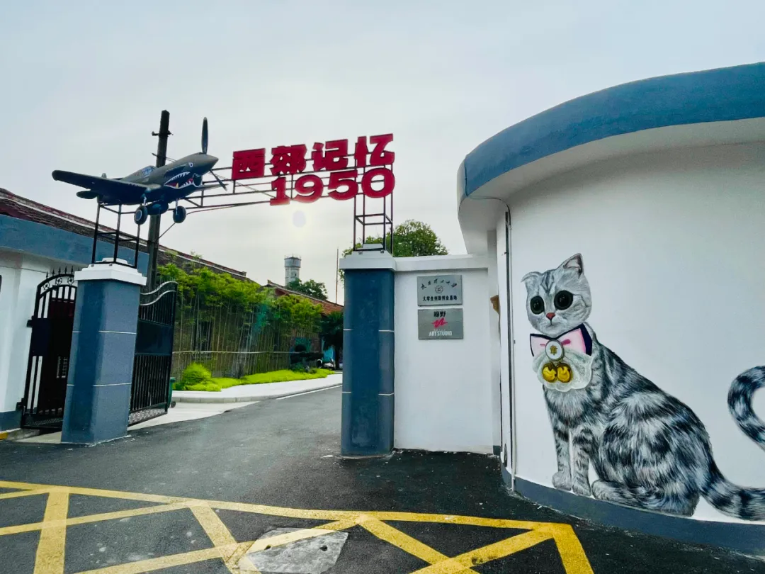 收藏！2025漢中春節(jié)最全文旅活動指南來了