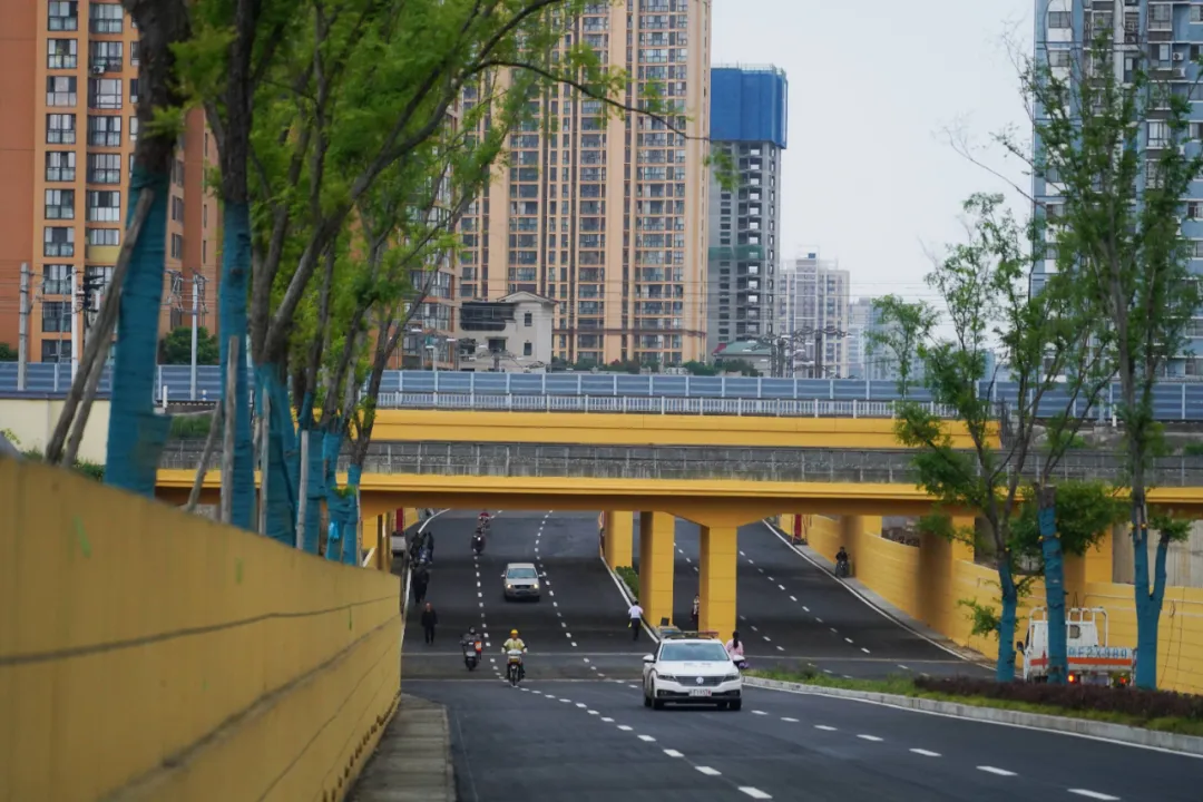 出行方便了！漢中興漢新區(qū)惠府路主車道通車！