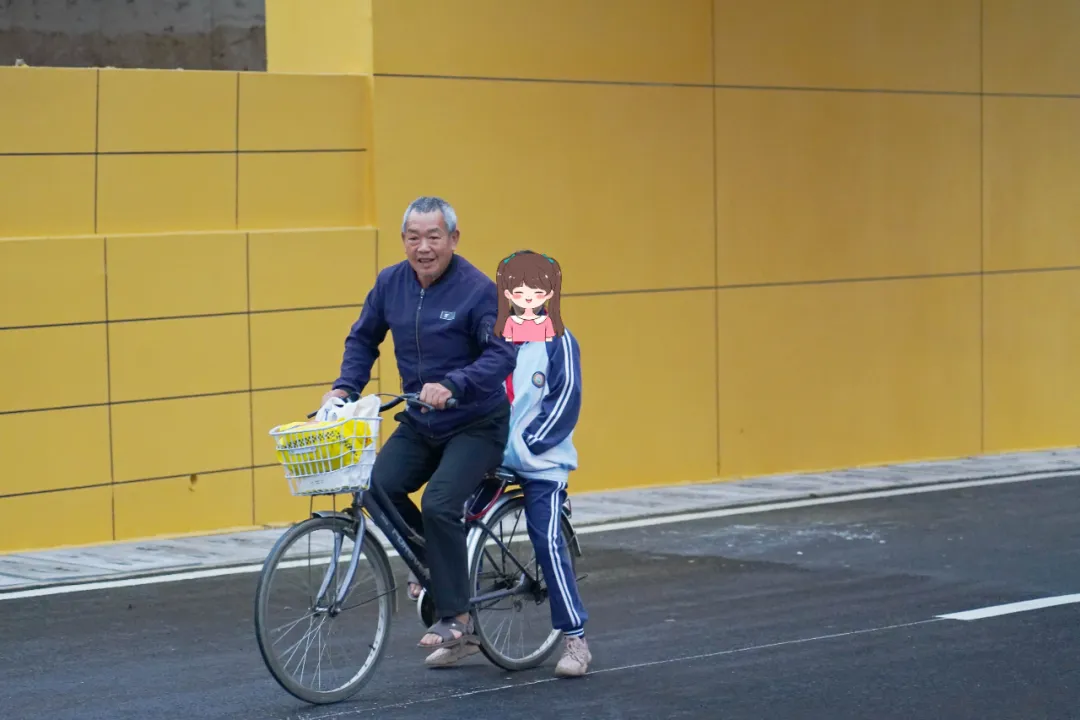 出行方便了！漢中興漢新區(qū)惠府路主車道通車！