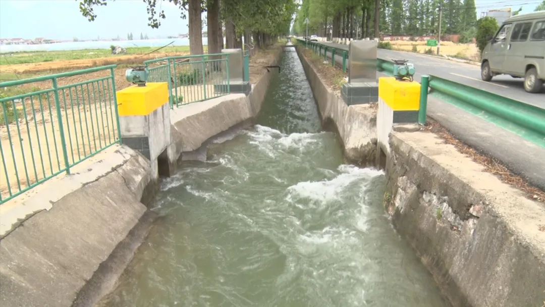 漢臺(tái)：“秧”不誤時(shí) “水”盡其用，科學(xué)守護(hù)“糧袋子”