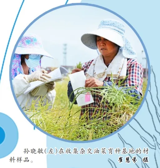 中國(guó)油菜的“漢中芯”！探尋背后硬核→