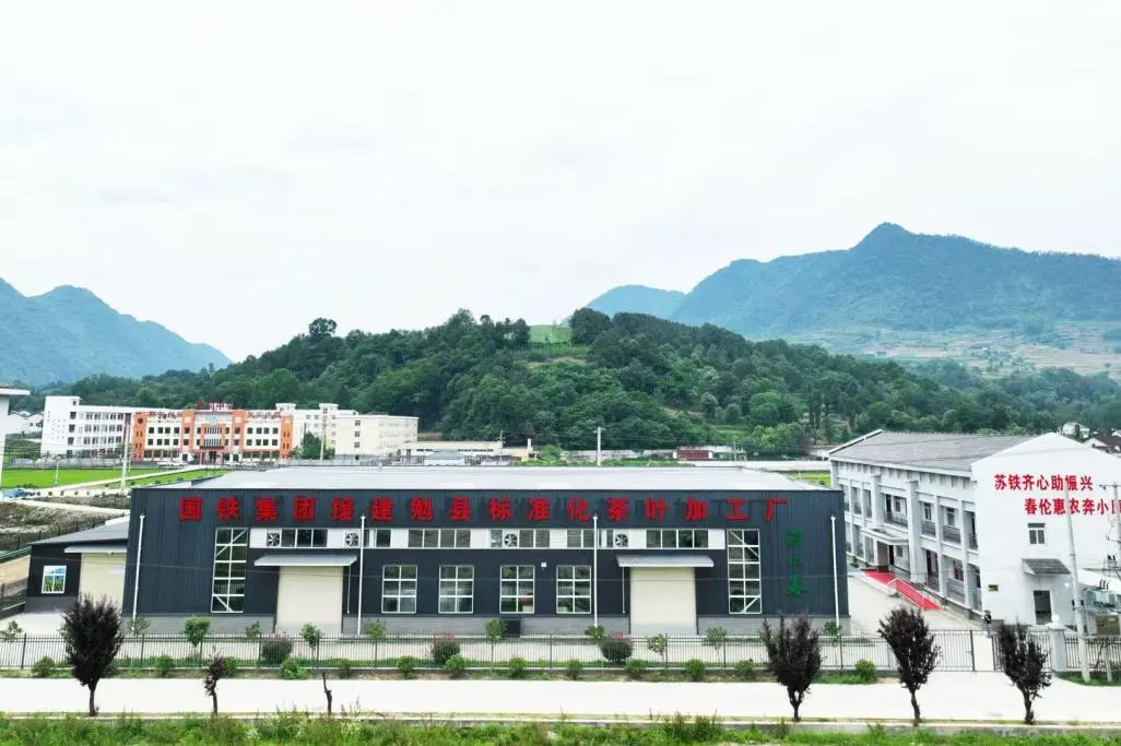 訂單接到手軟！漢中茶界“黑馬”逆襲→