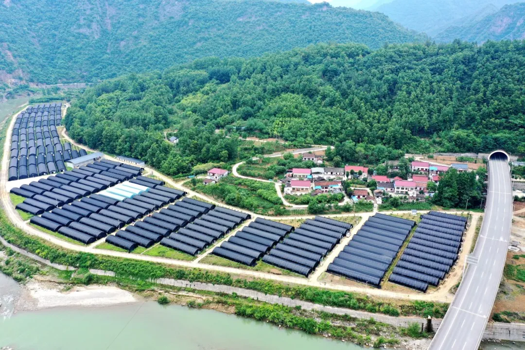 點贊！留壩休閑農(nóng)業(yè)發(fā)展經(jīng)驗在全省交流