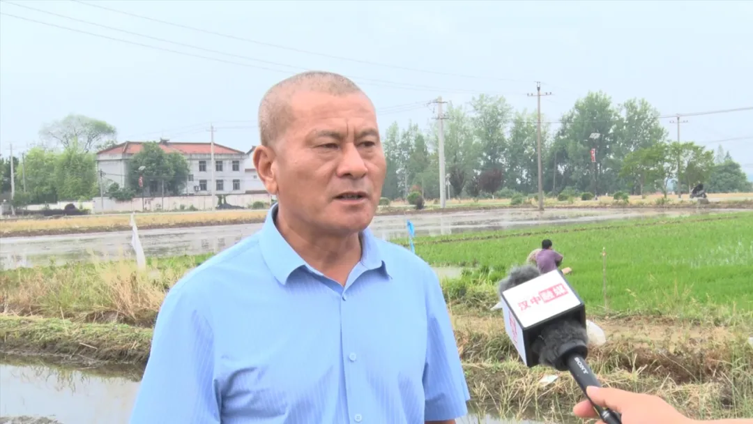 漢臺(tái)：“秧”不誤時(shí) “水”盡其用，科學(xué)守護(hù)“糧袋子”