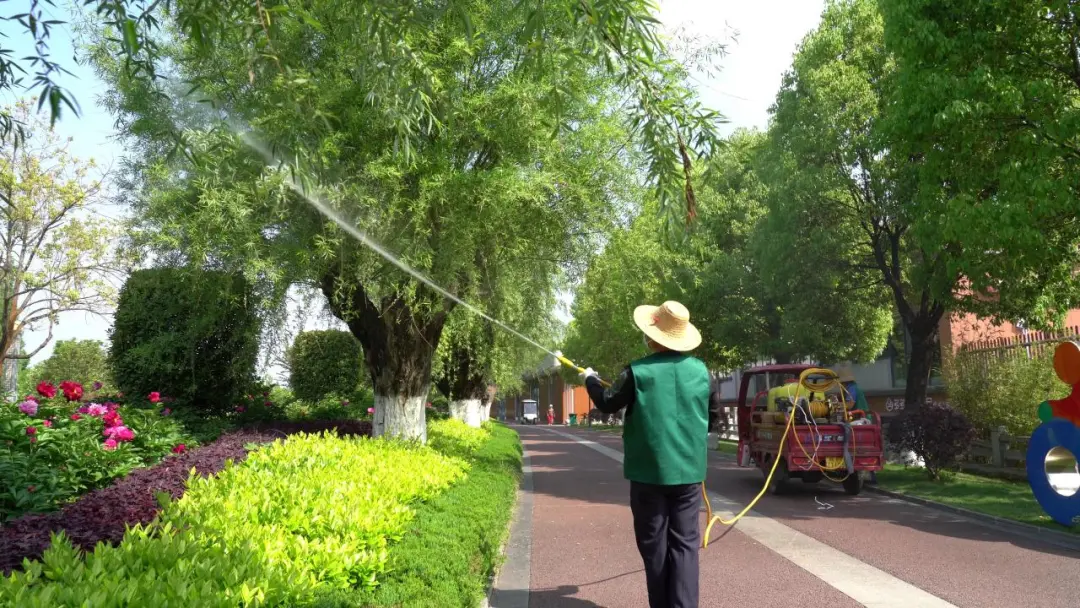 漢中毛?毛?毛?毛……明顯減輕！原因在這里→