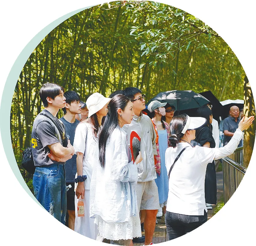 從秦嶺到世界！漢中創(chuàng)造生態(tài)奇跡！