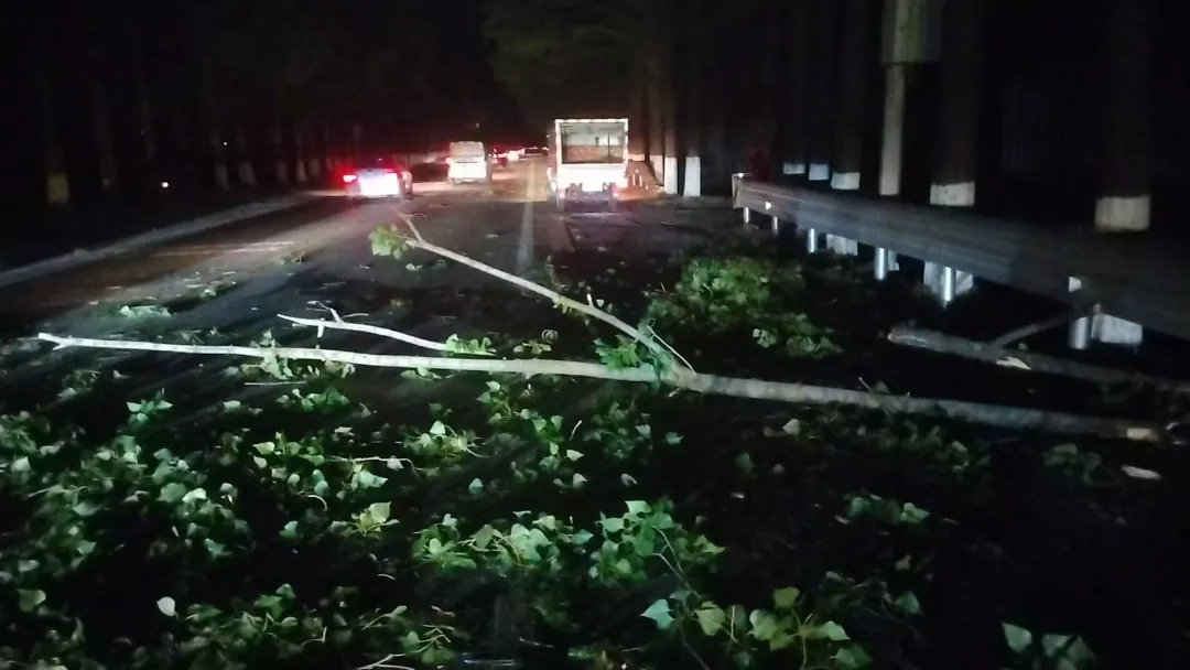 110分鐘打通“堵點”！一場夜幕下的緊急搶險→