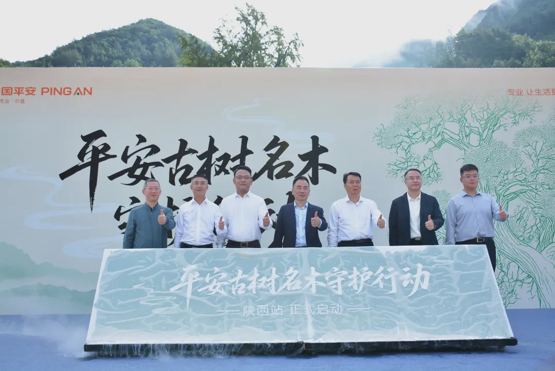 漢中545株古樹名木獲保險護航！單株最高保8萬元！