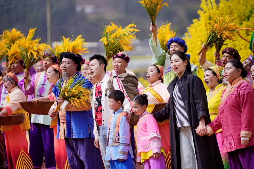 清明打卡黎壩，看《風(fēng)起巴山》，賞限定花海