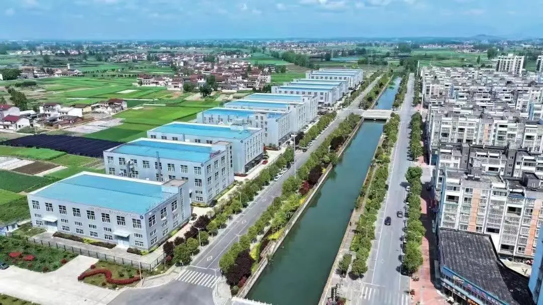 上半場，穩(wěn)中有進向新向好！