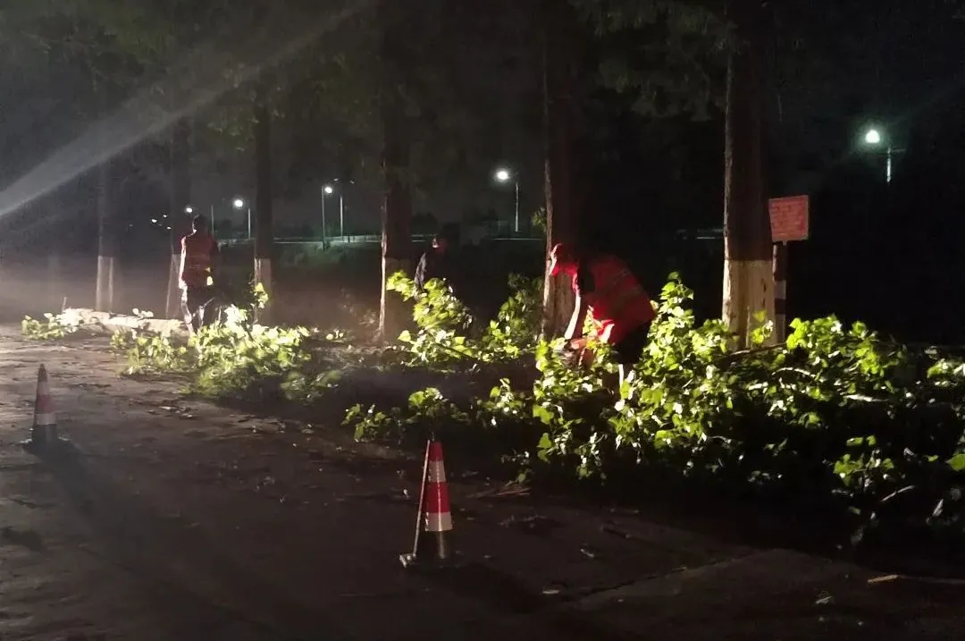 110分鐘打通“堵點”！一場夜幕下的緊急搶險→