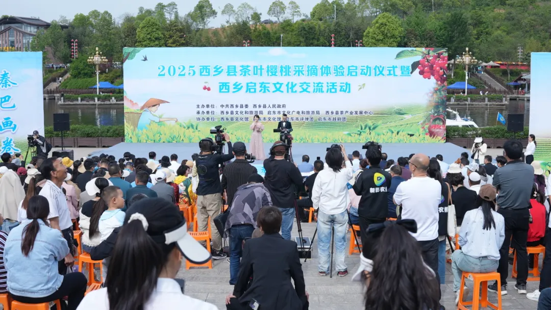 西鄉(xiāng)縣舉行2025茶葉櫻桃采摘體驗(yàn)活動暨西鄉(xiāng)—啟東文化交流活動