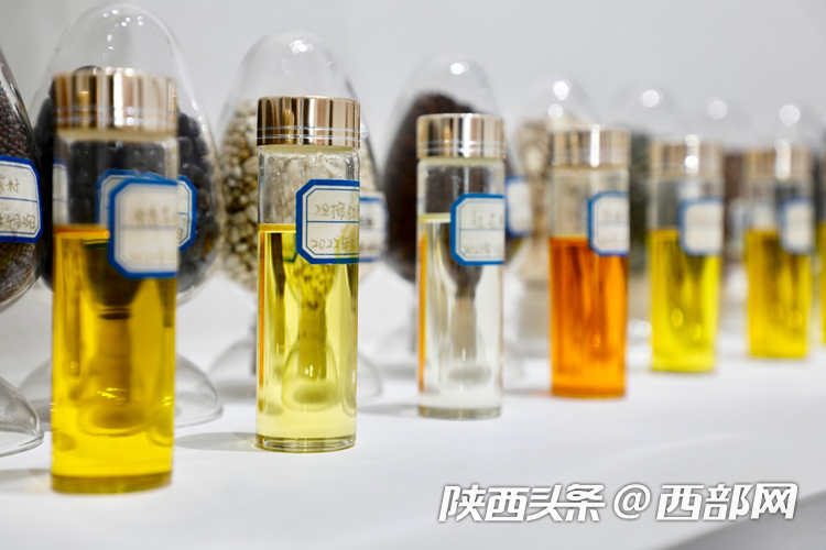 生態(tài)高顏值·發(fā)展高質(zhì)量｜油菜花、牡丹花、黑稻田 漢中洋縣有機產(chǎn)業(yè)有自己的“三原色”