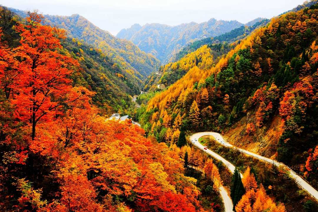 光霧山國家5A級(jí)旅游景區(qū)駐漢中接待中心正式揭牌