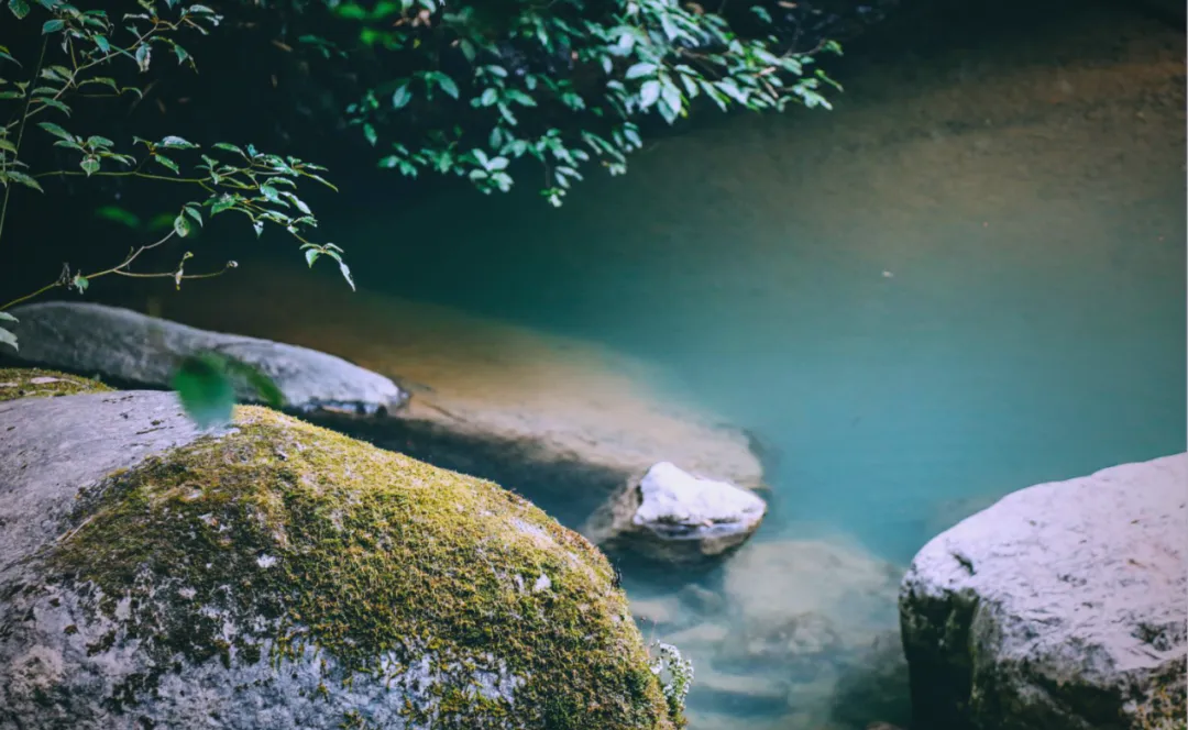 茶旅新地標(biāo)！楮溪源景區(qū)帶你開啟茶旅融合新體驗(yàn)！