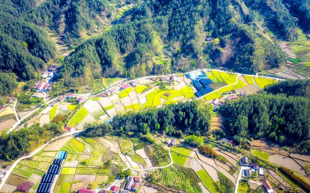 點贊！留壩休閑農(nóng)業(yè)發(fā)展經(jīng)驗在全省交流