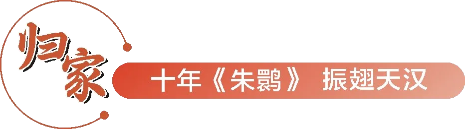 從秦嶺到世界！漢中創(chuàng)造生態(tài)奇跡！