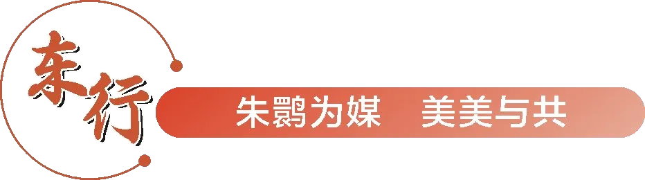從秦嶺到世界！漢中創(chuàng)造生態(tài)奇跡！