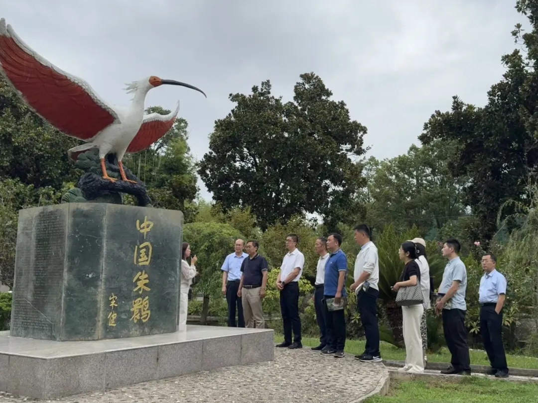 中省媒體聚焦?jié)h中新型工業(yè)！傳統(tǒng)行業(yè)煥發(fā)新生→