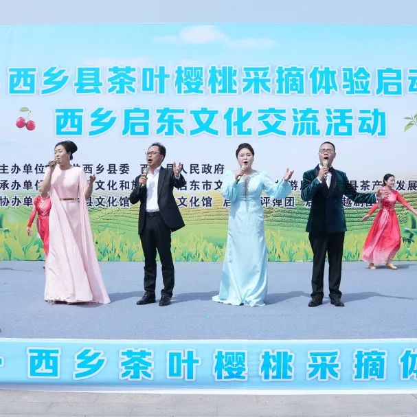 西鄉(xiāng)縣舉行2025茶葉櫻桃采摘體驗(yàn)活動暨西鄉(xiāng)—啟東文化交流活動